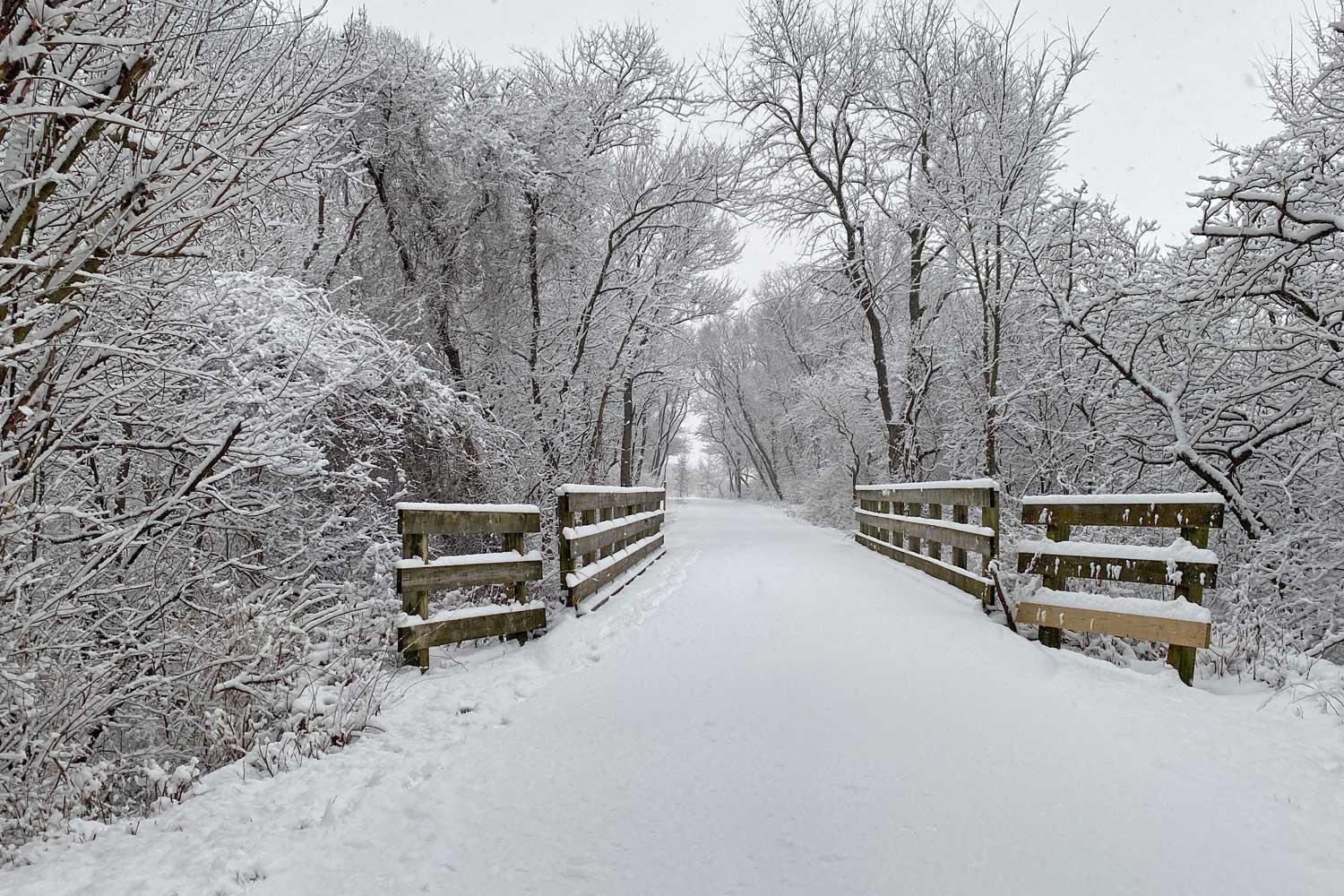 Snow covered trail and bridge.