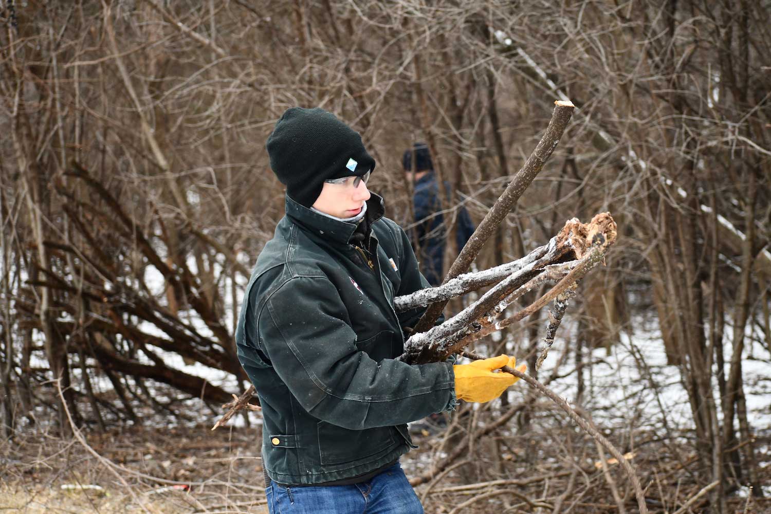 A person carrying cut branches.