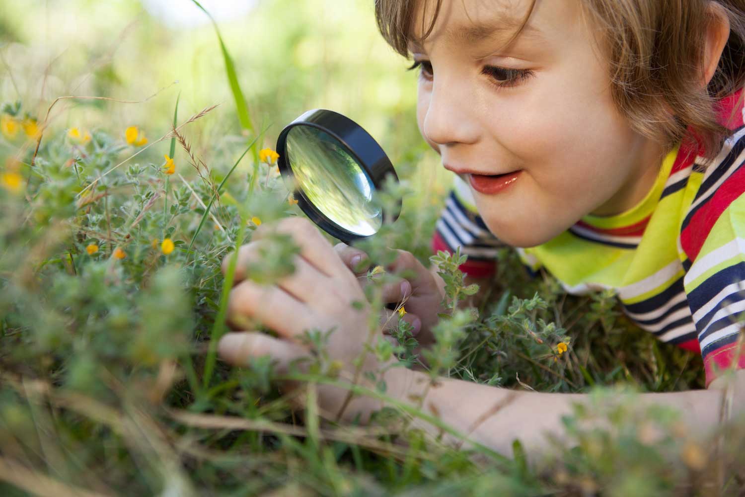 A child laying on the ground holding a magnifying glass and looking at something in the grass.