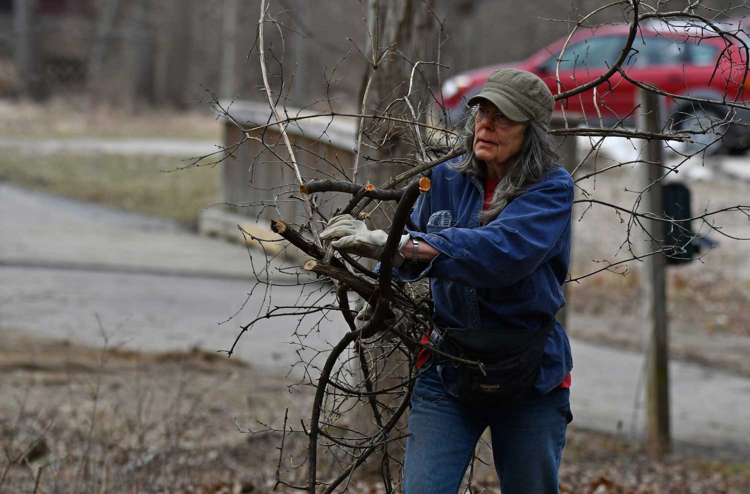 A person hauling cut branches through a wooded area.