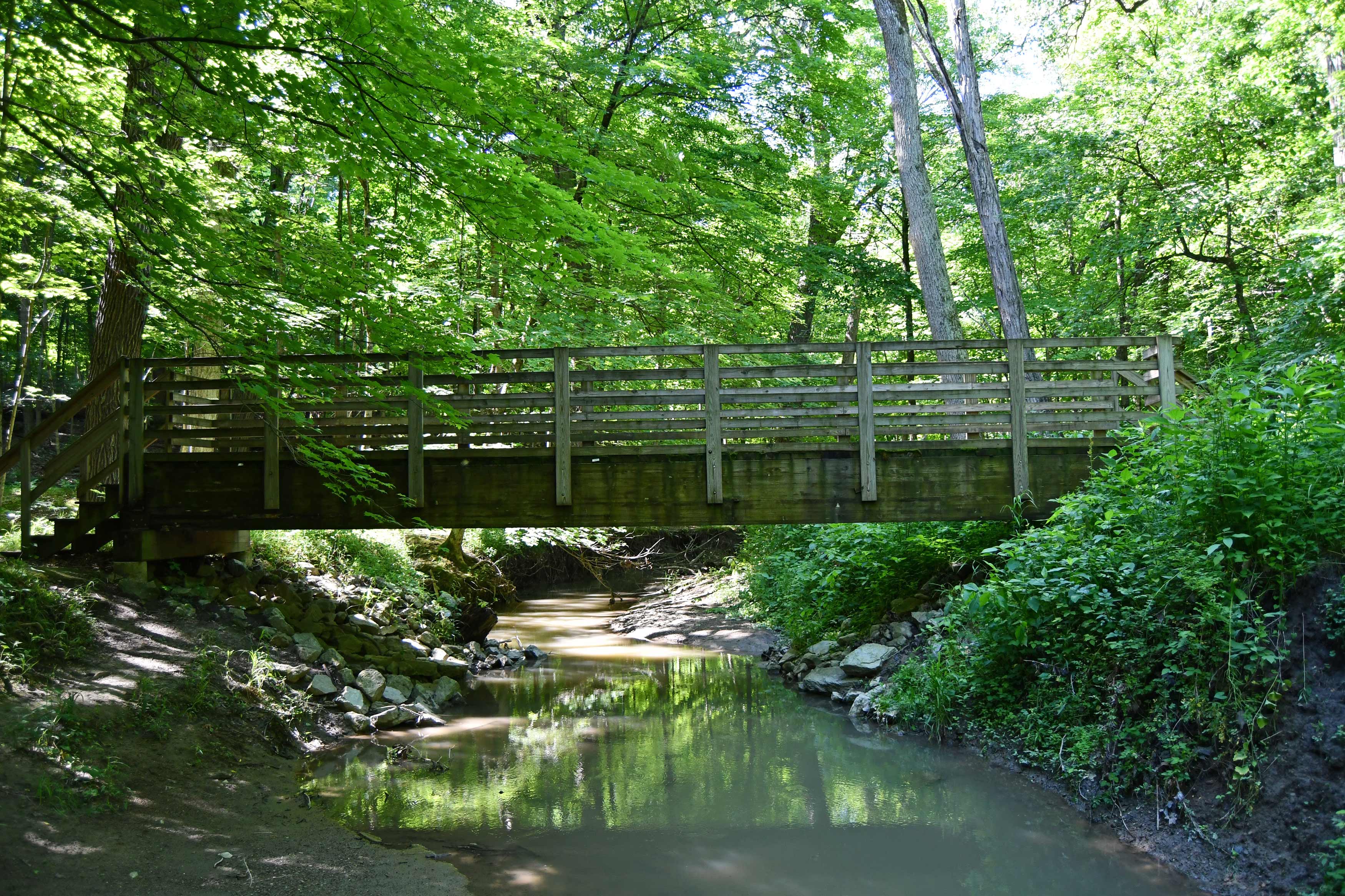 A bridge over a creek.