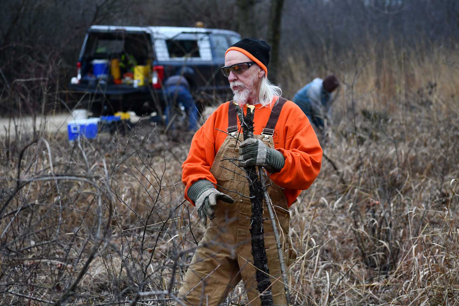 A man walking through a brush-filled area with a cut branch