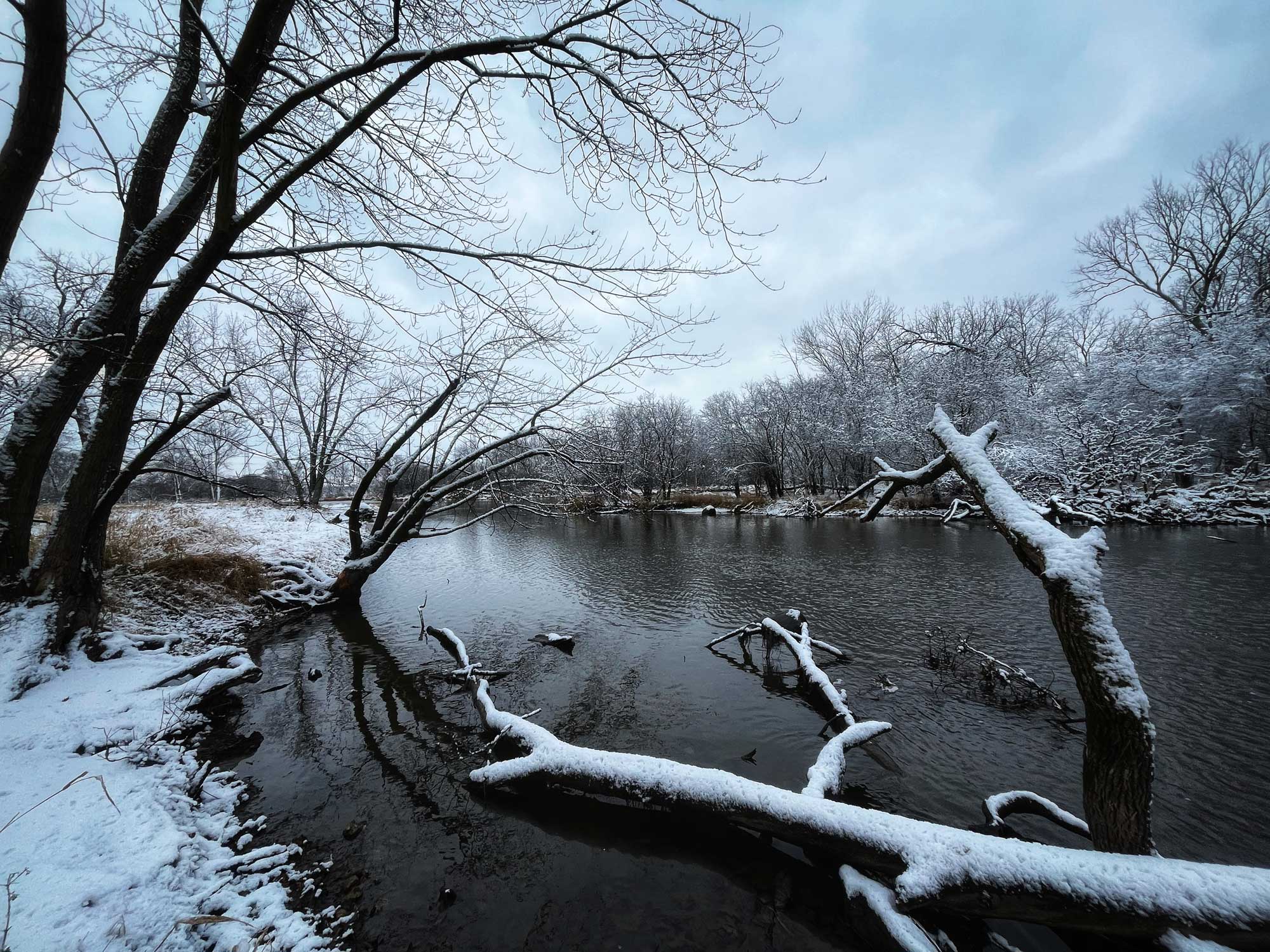 A winter scene along a river