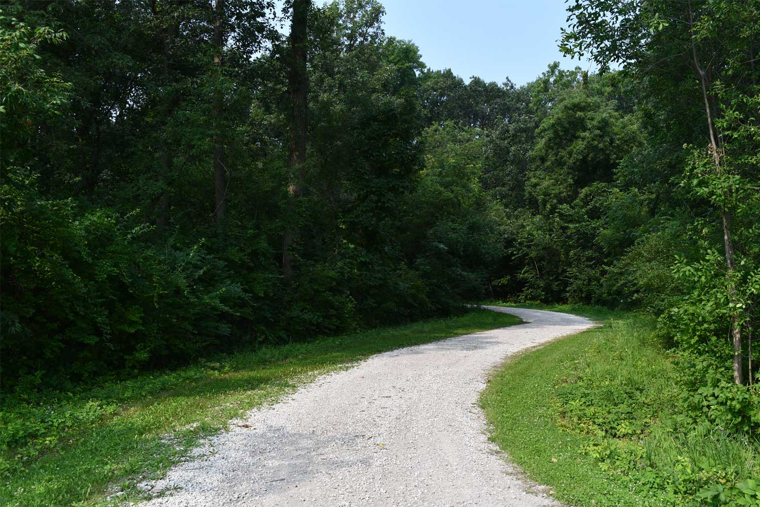 Limestone trail lined with grasses and trees.