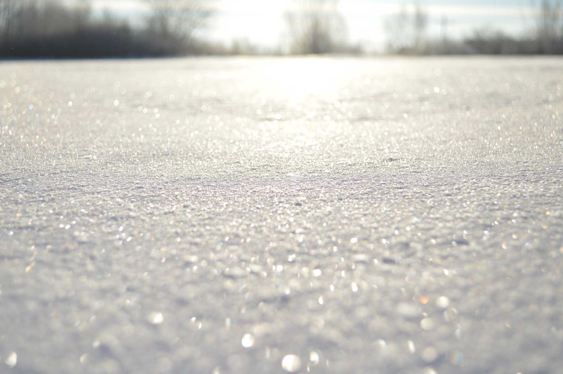 Nature Curiosity: Why Does Some Snow Sparkle? | Forest Preserve ...