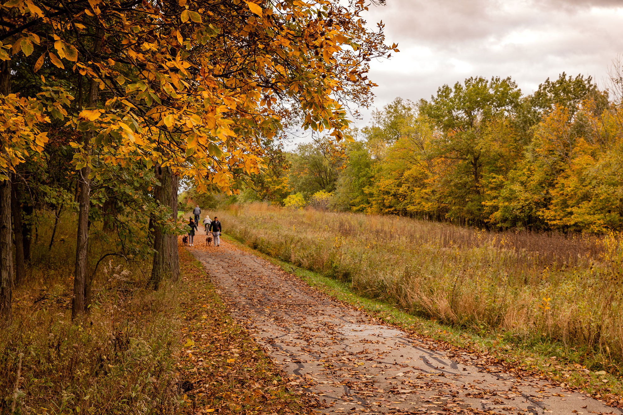 Fall color at Hickory Creek Preserve.