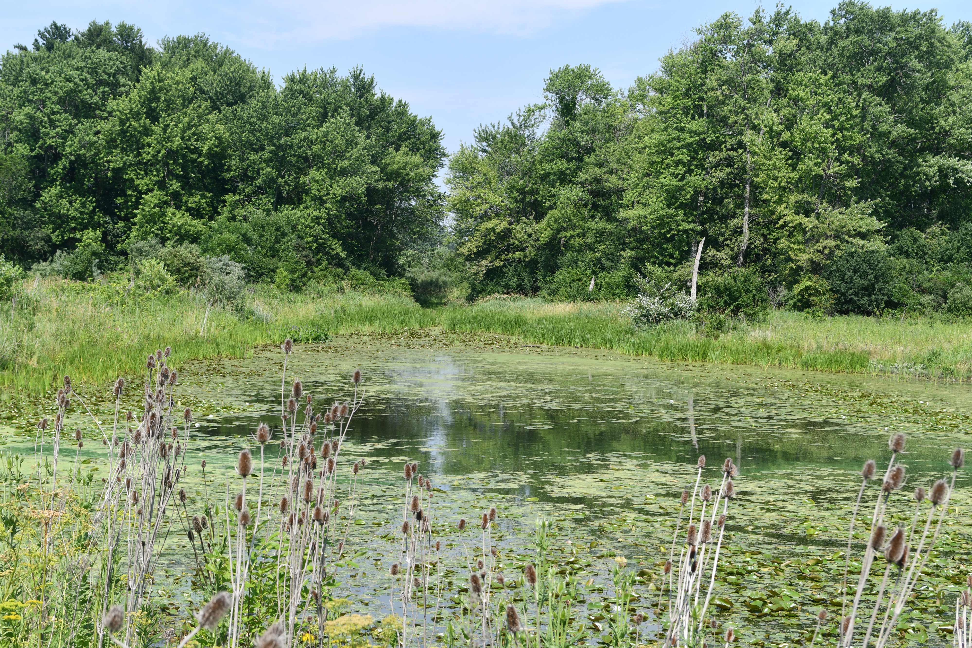 A scenic view of the water at Monee Reservoir.