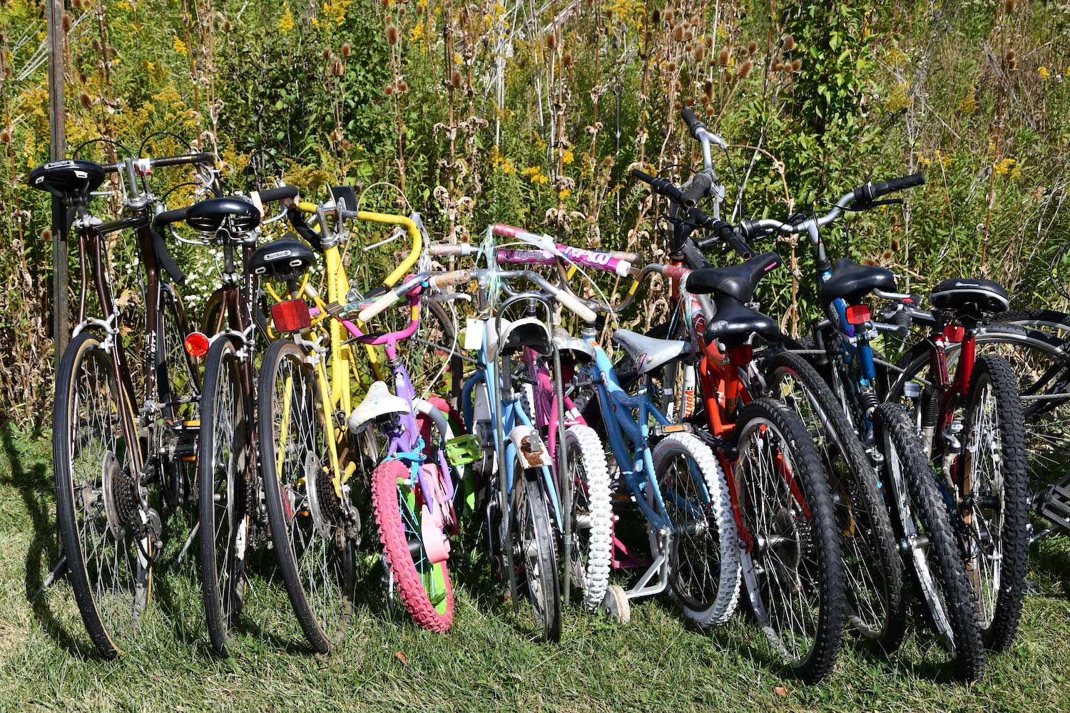 Dozens of bikes lined up in the grass in front of a prairie.