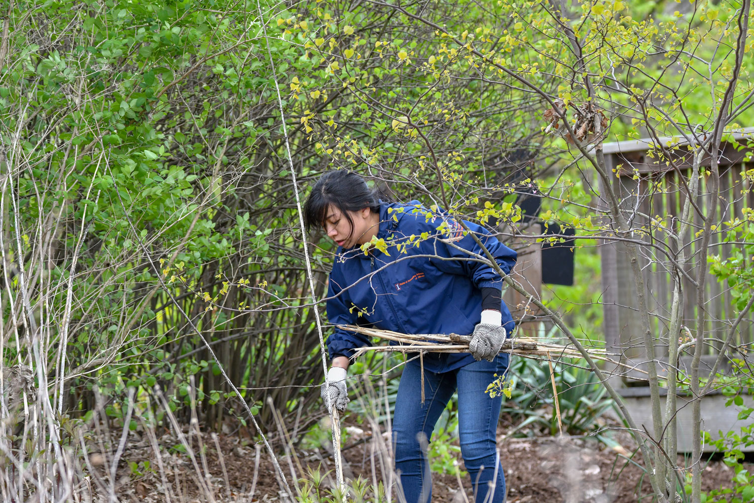 A person collecting sticks and branches from the ground.