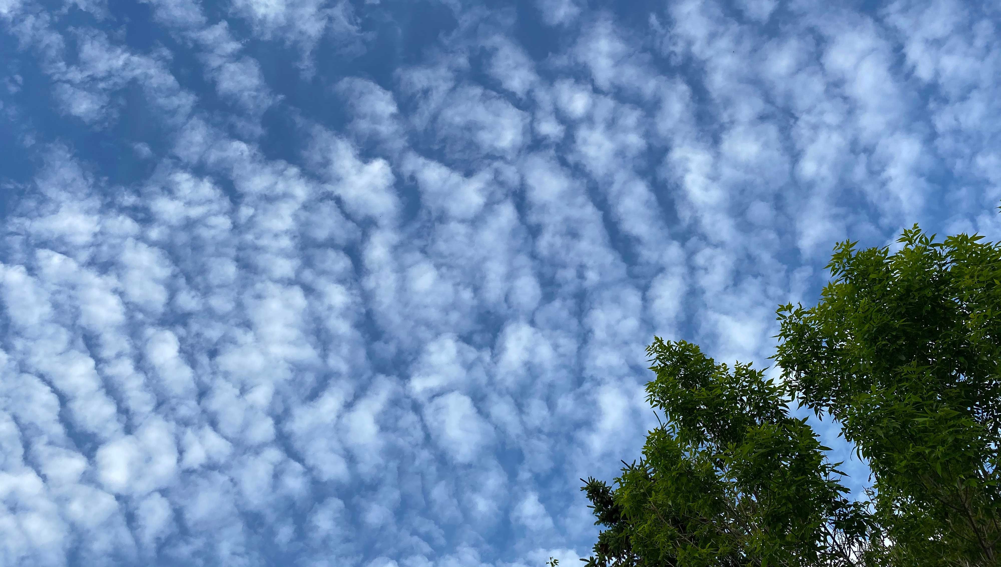 cirrocumulus cloud facts