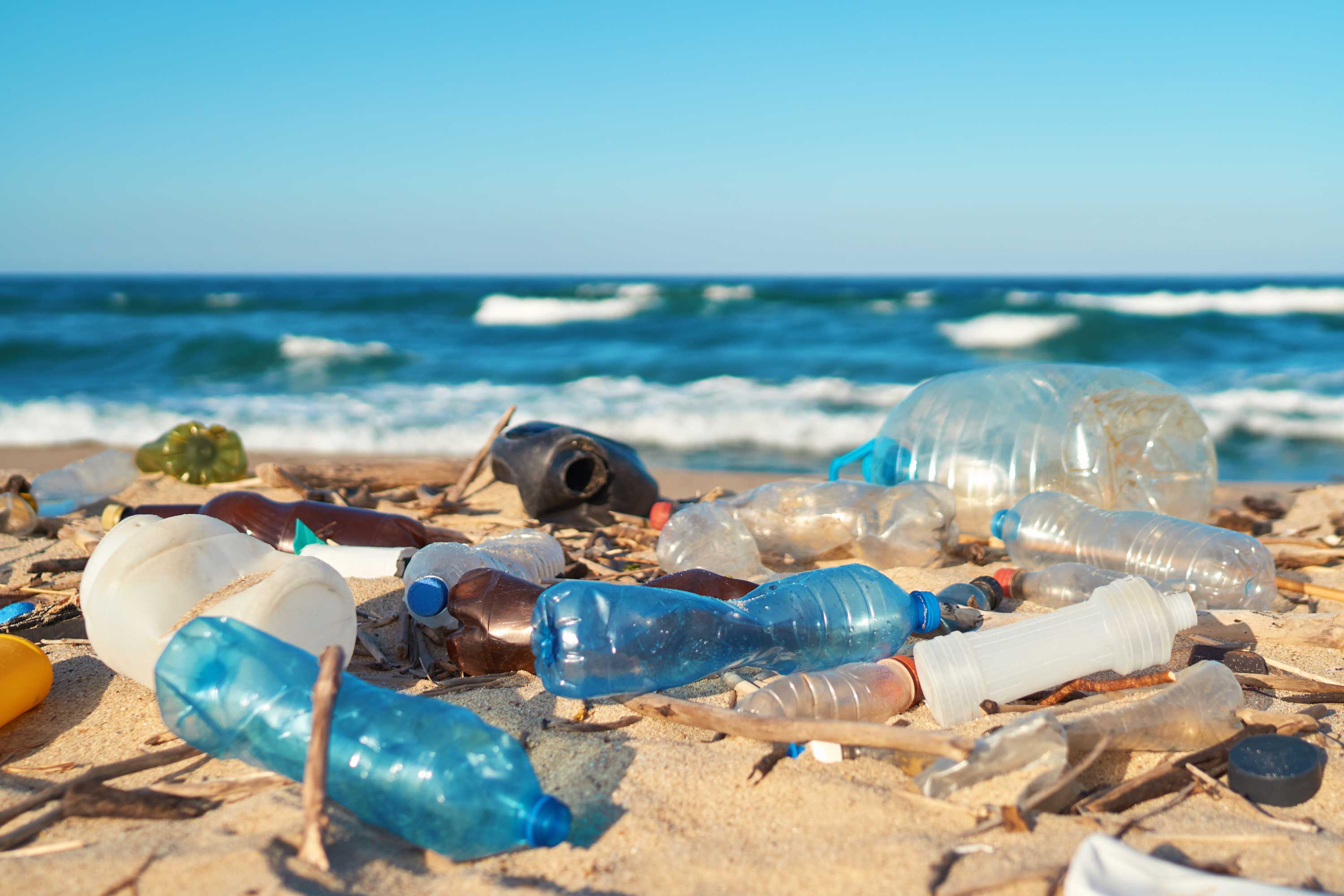 Plastic bottles litter a beach