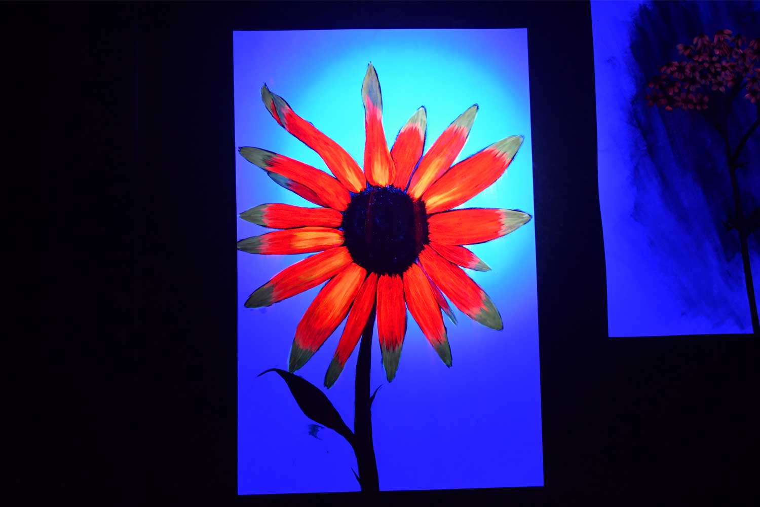 Picture on display in UV light.