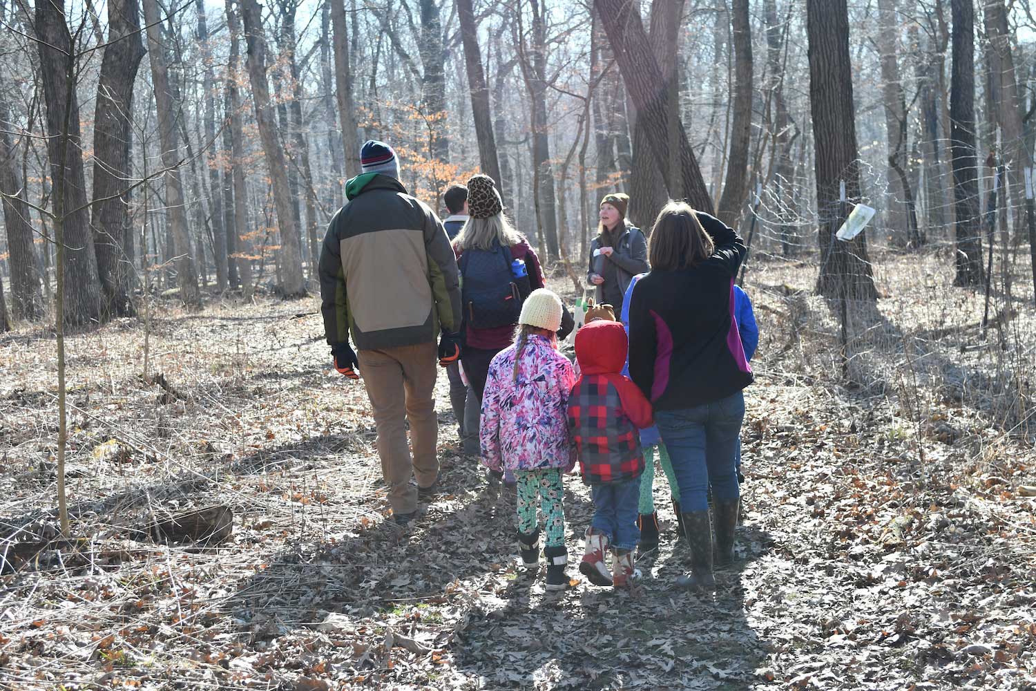 A group of kids and adults walking through a forest of care trees.