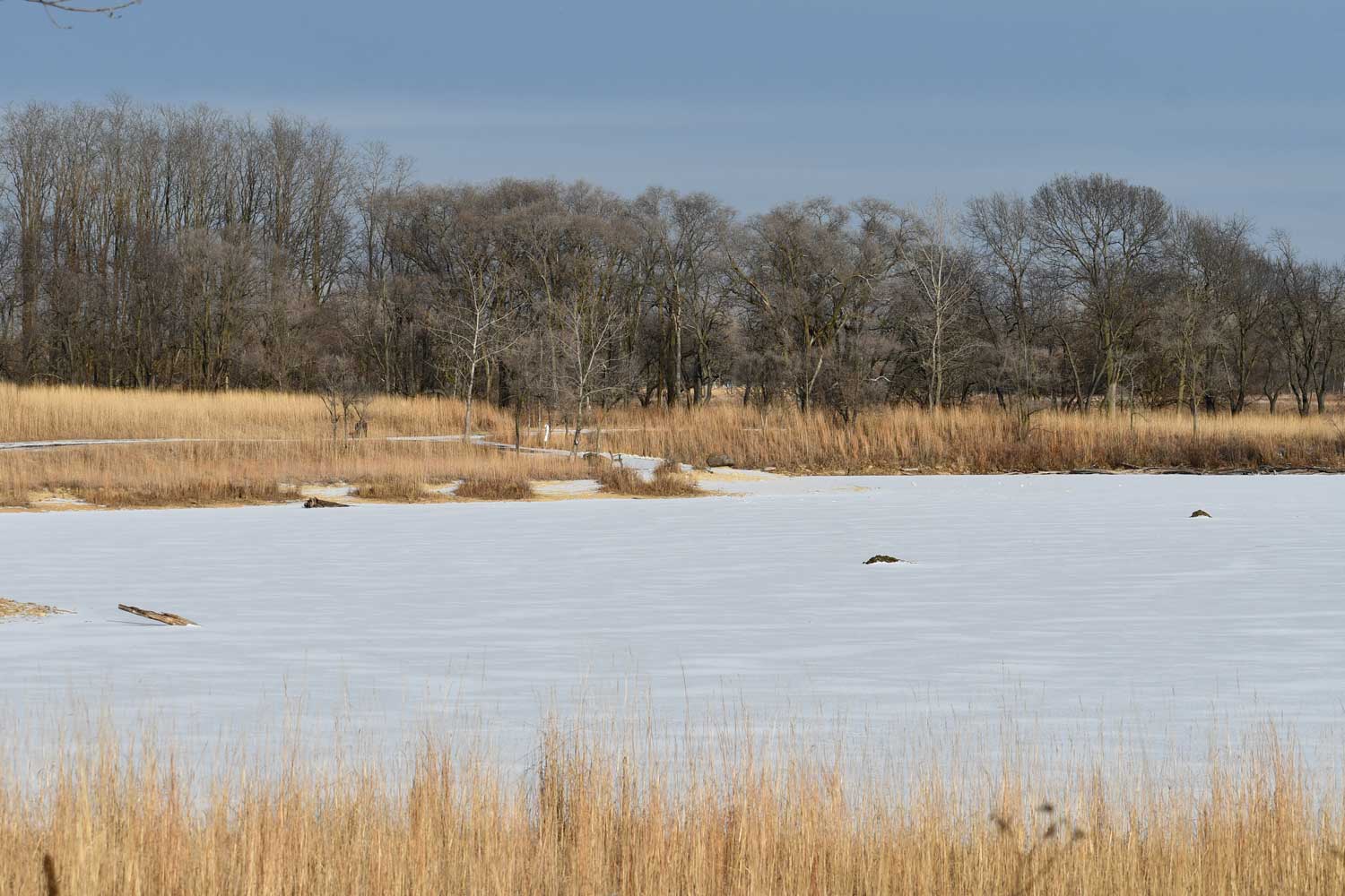 A frozen pond at Rock Run. 