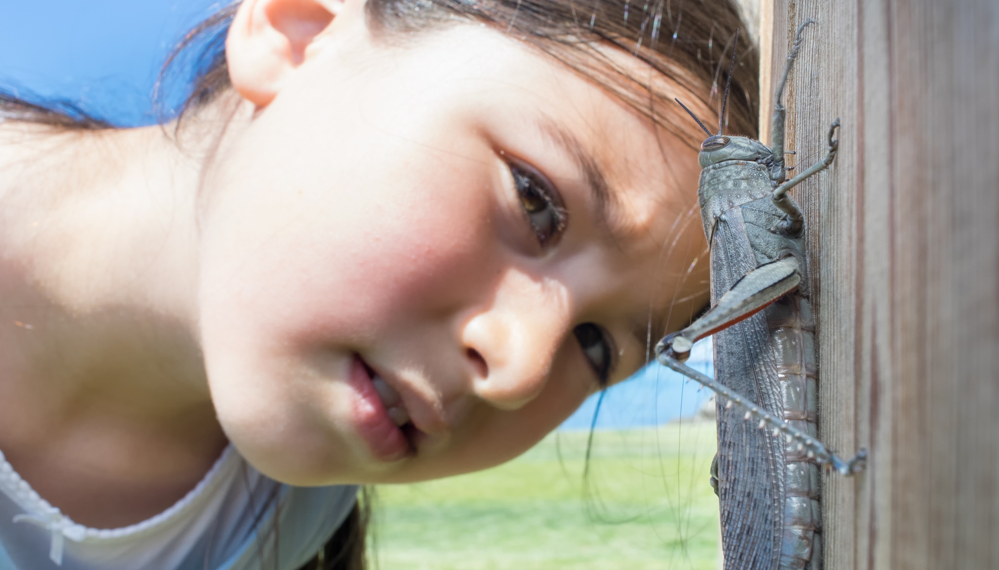 A kid looking at a grasshopper.