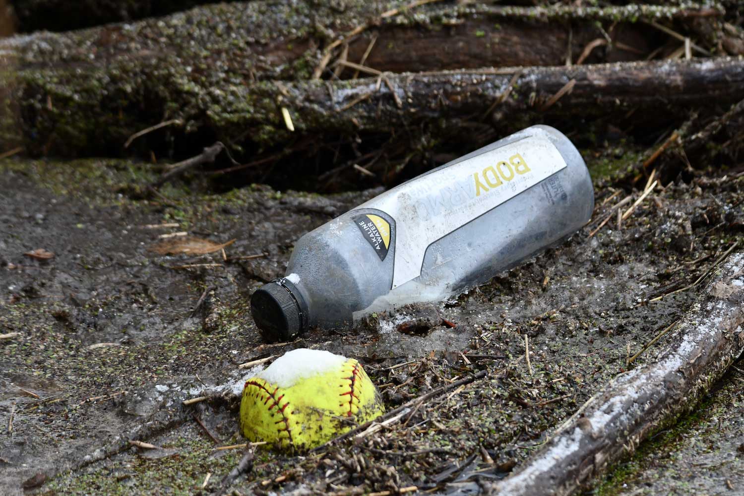 A plastic bottle and a softball in water along a shoreline.