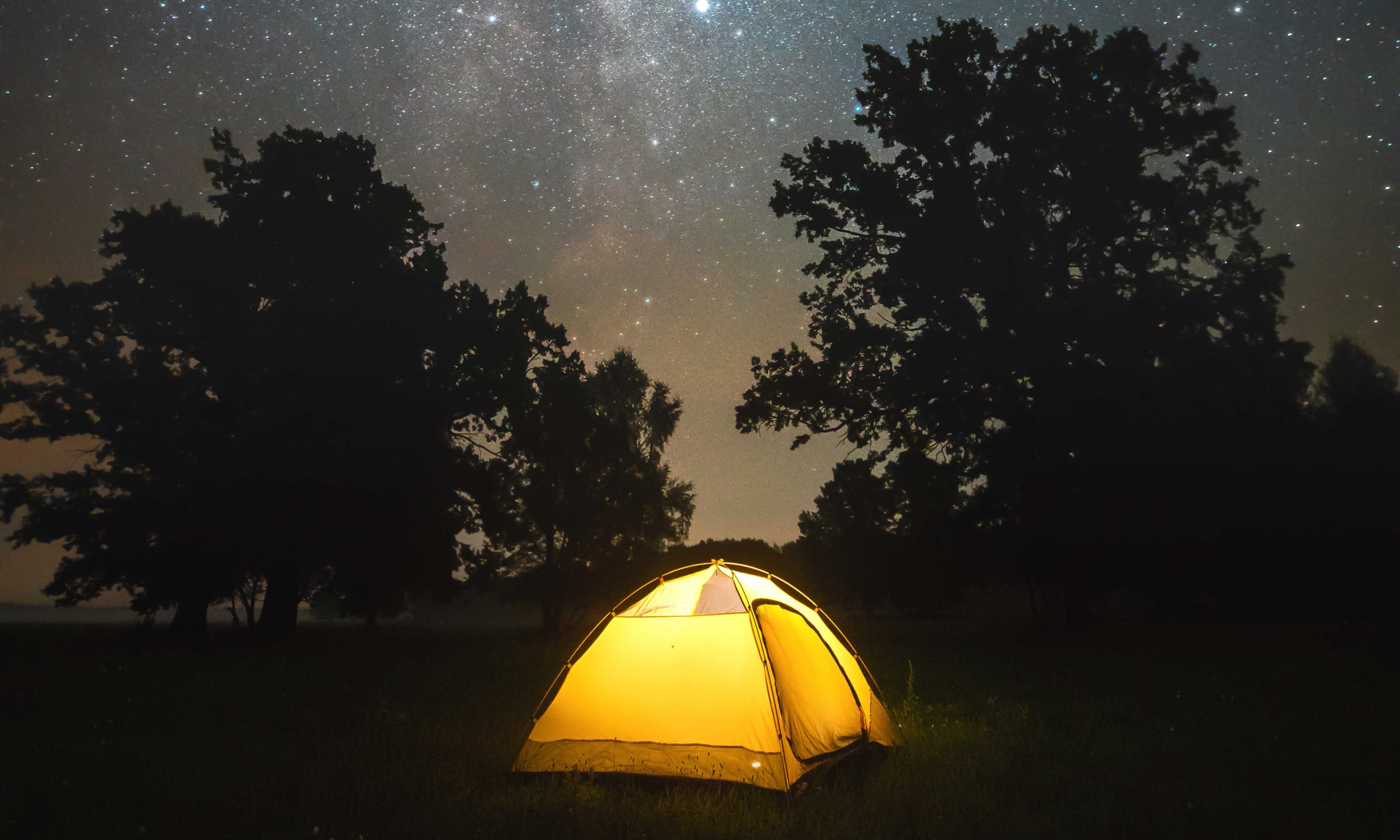 An illuminated tent glows warmly under the night sky, its light casting a soft silhouette of a nearby tree. Above, the sky is a vast expanse dotted with countless stars.