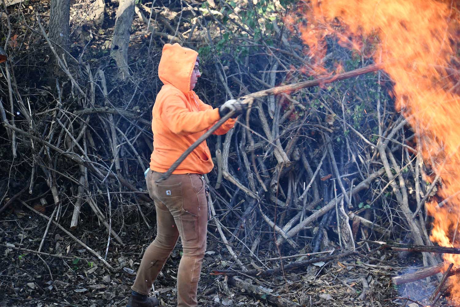 A person throwing brush on a brush pile.