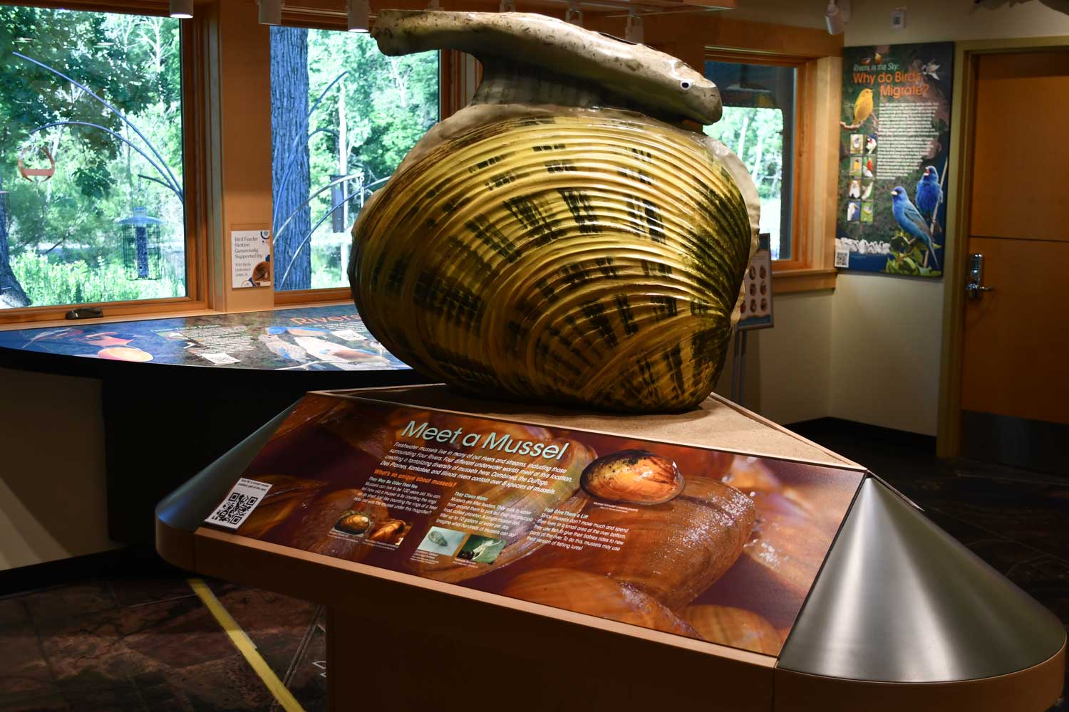 Interactive exhibit in a nature center.