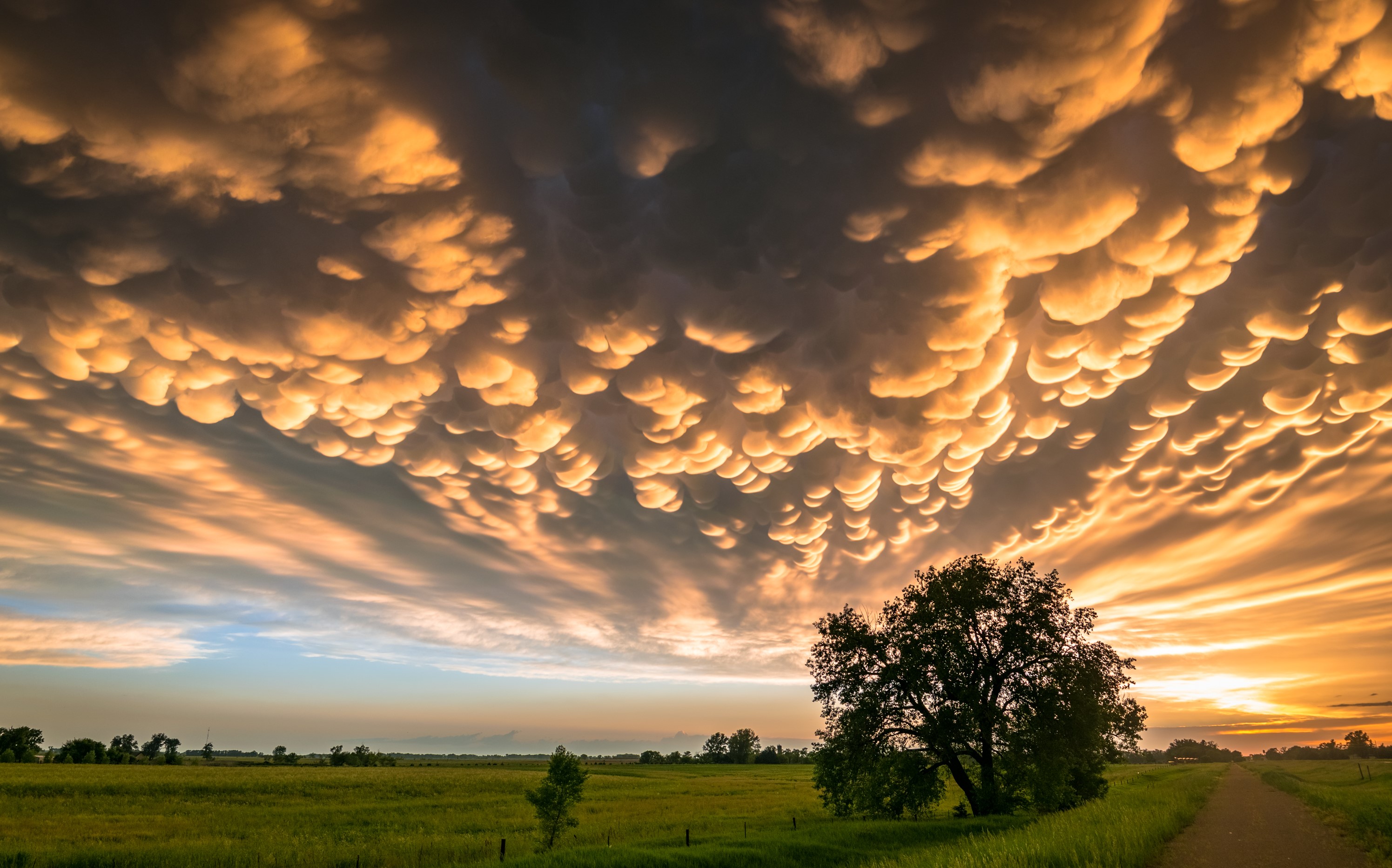 Look Up And Enjoy The Clouds Forest Preserve District Of Will County