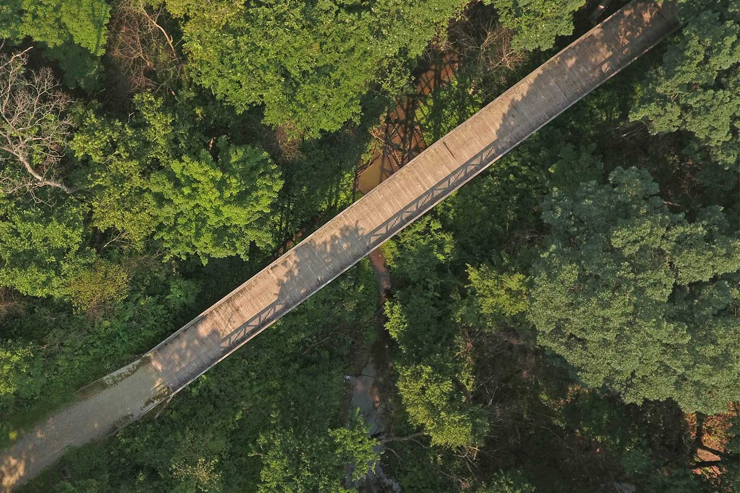An aerial view of the big bridge.
