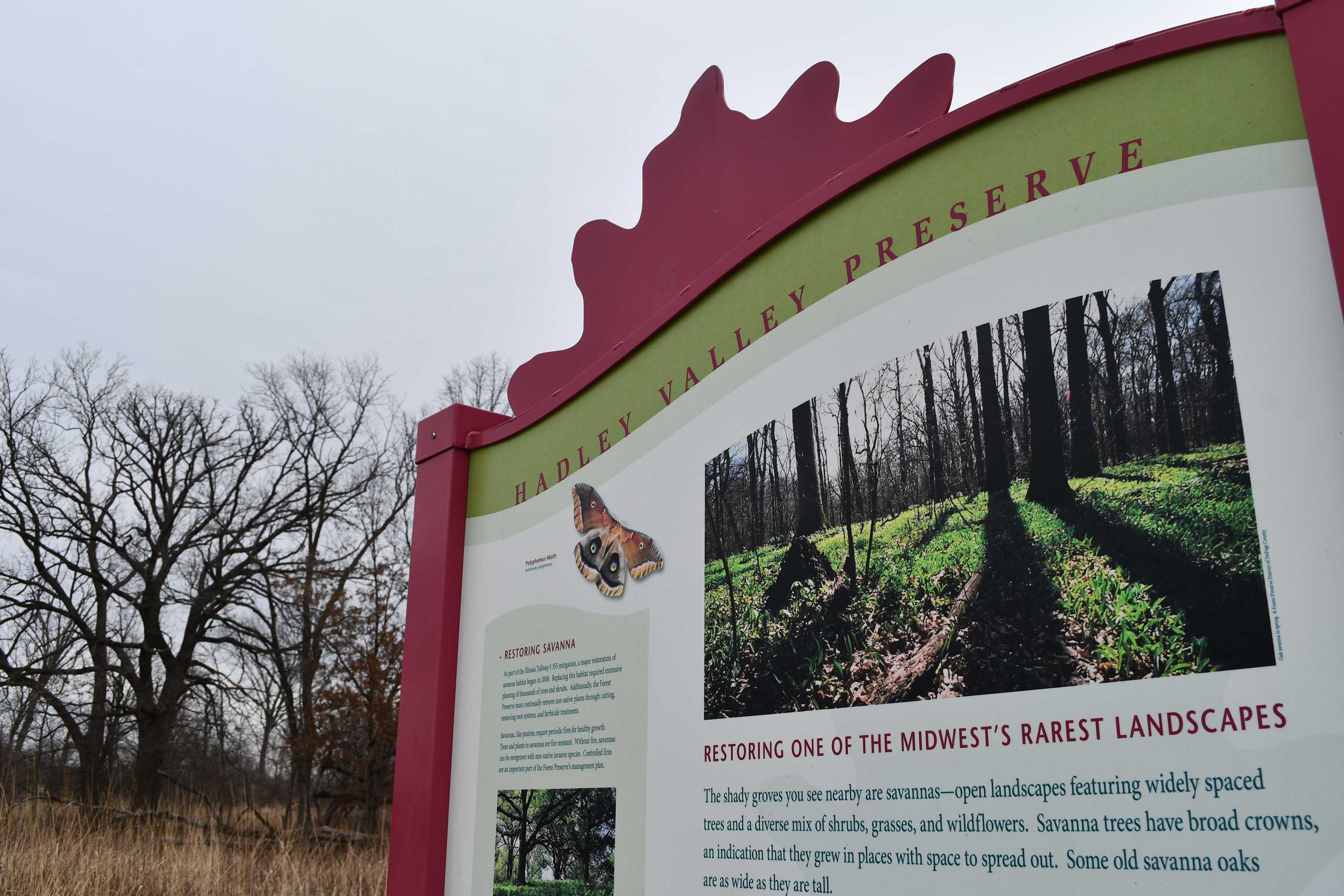 An interpretive sign