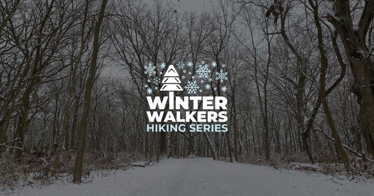 A snow-covered trail lined by trees.