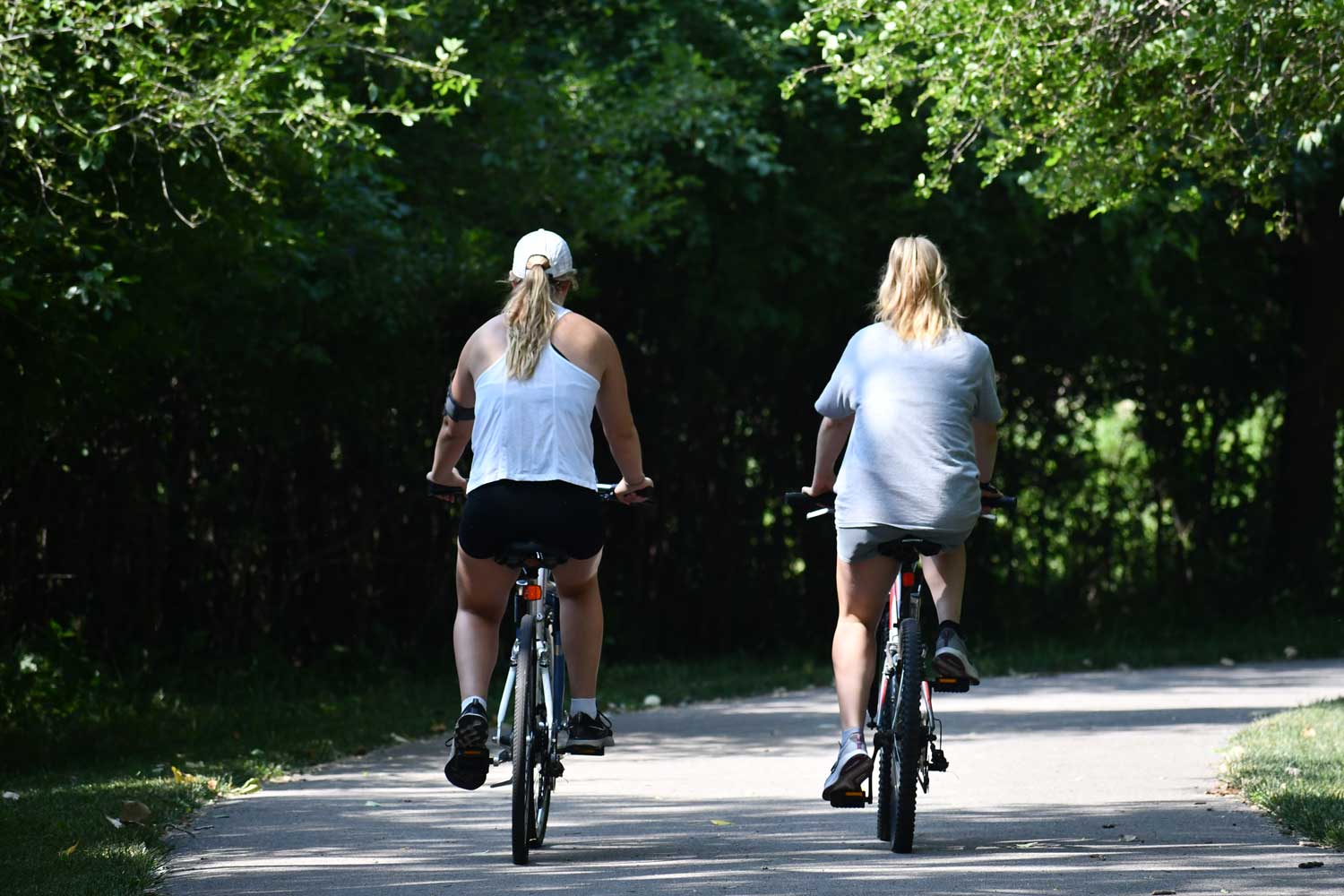 People riding bikes on a paved trail.