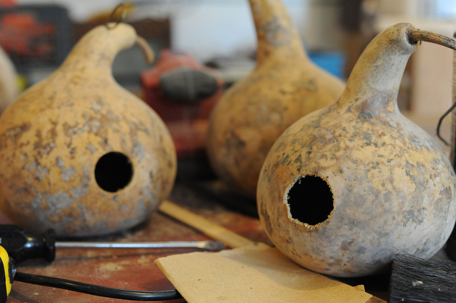 Birdhouses made from gourds sitting on a table.