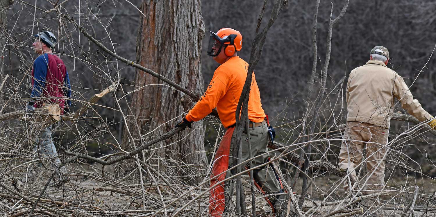 A person in protective gear moving cut branches across the ground while two others work in the background.