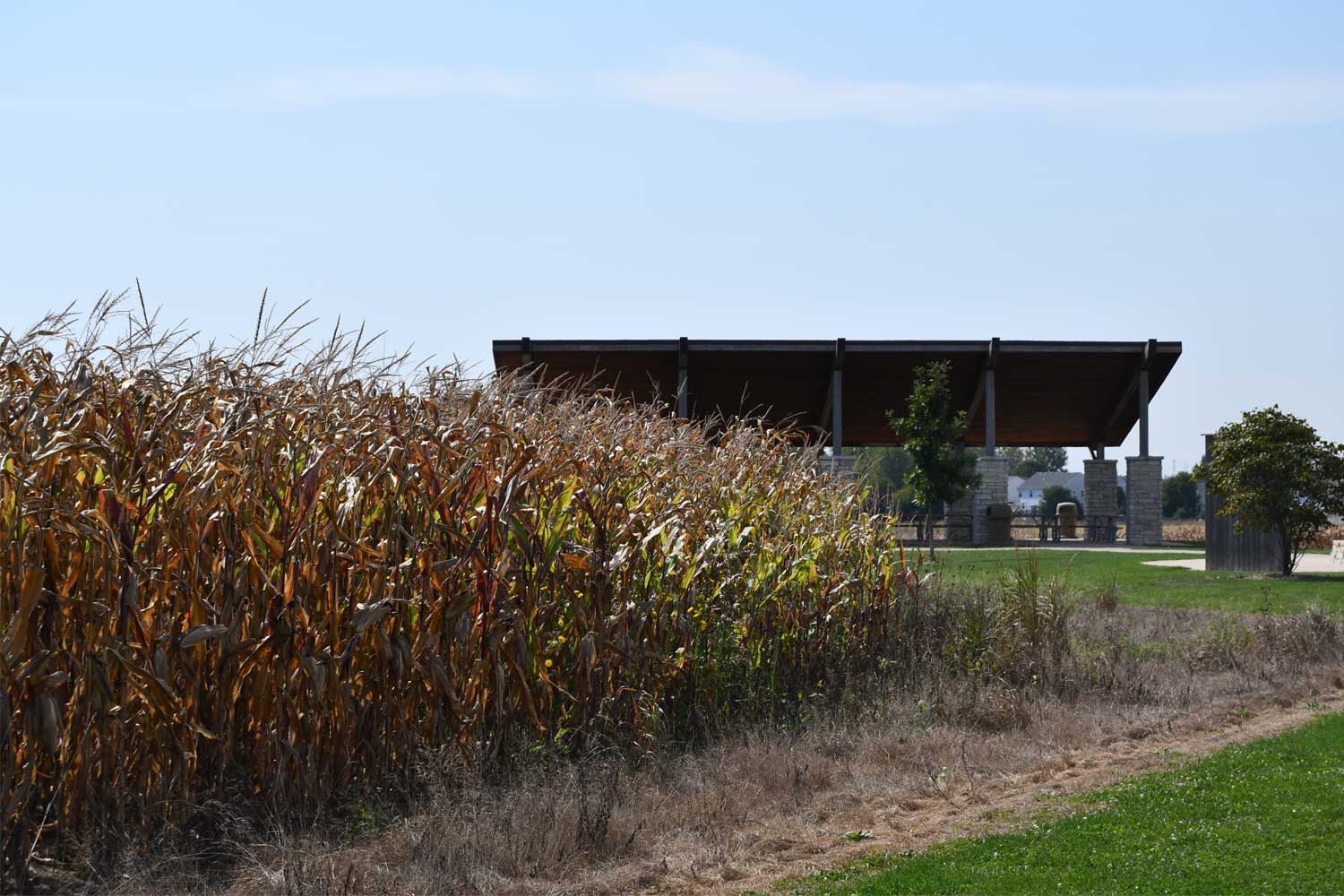 Vegetation with preserve shelter in background.