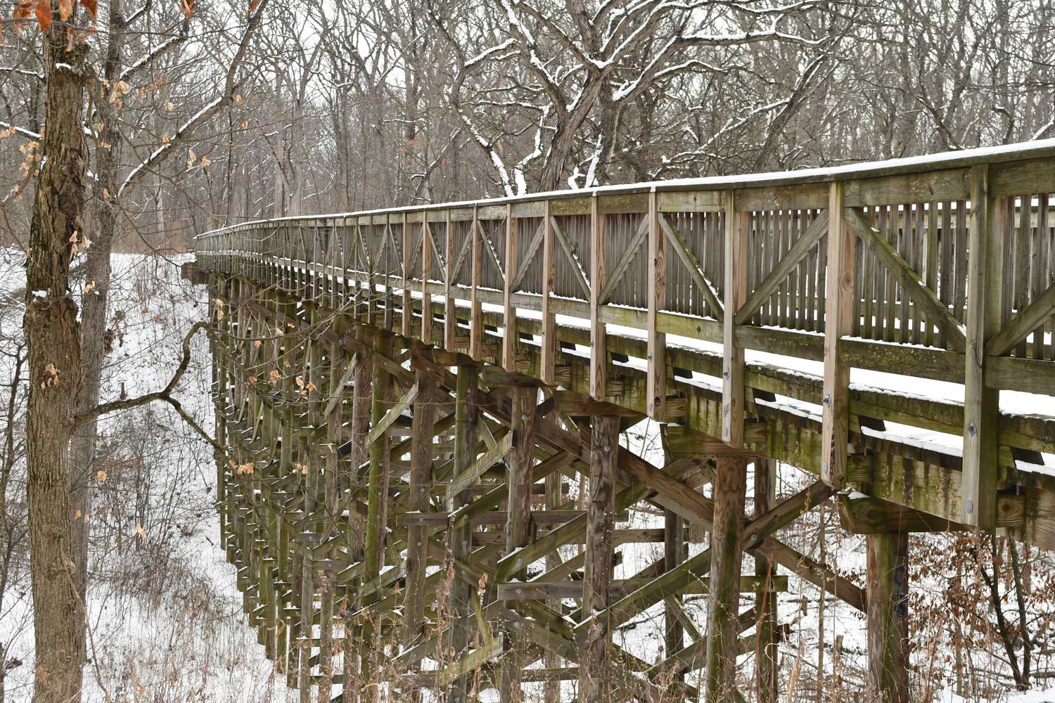 Bridge along a trail covered in snow.