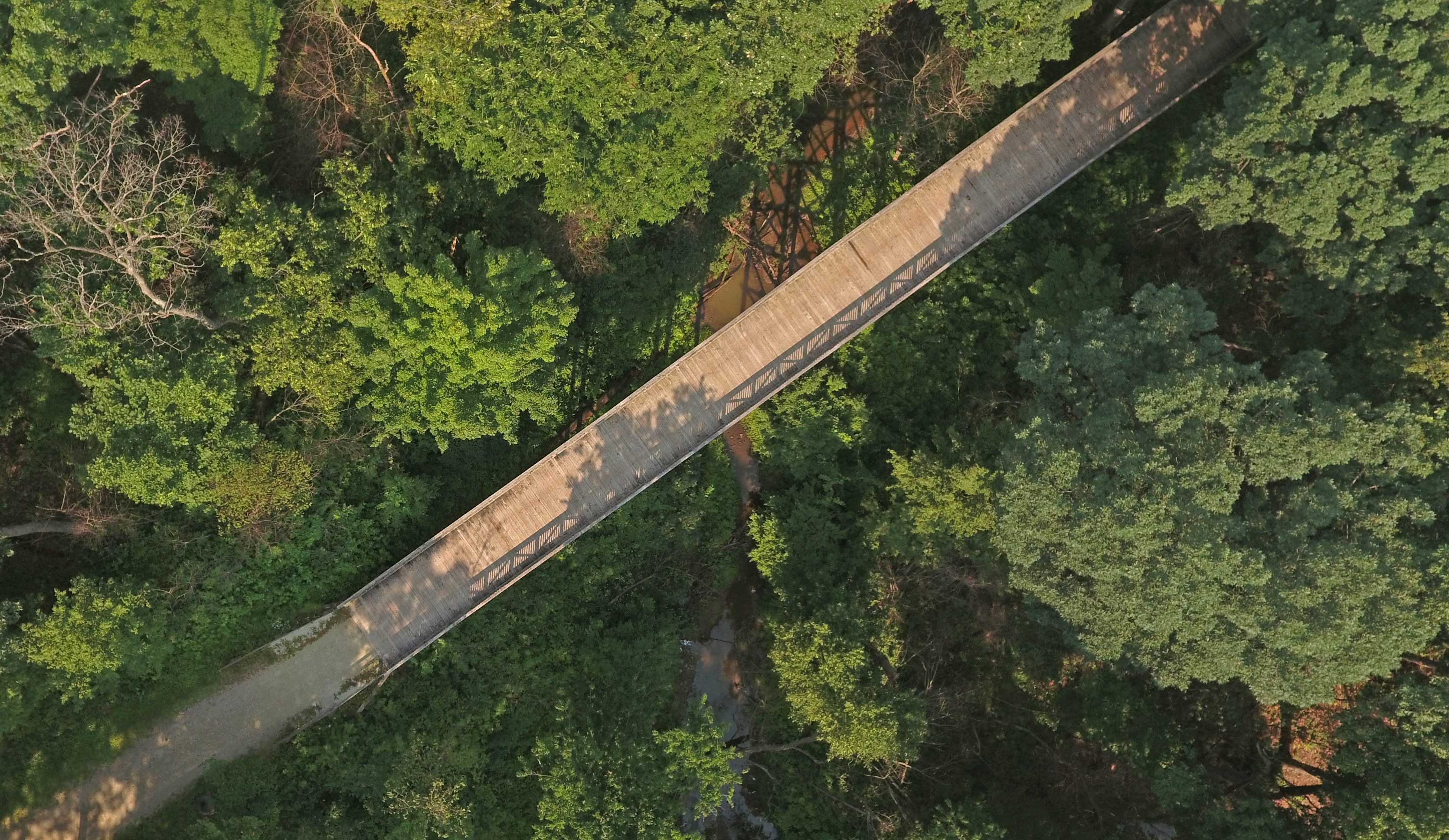 An aerial view of the big bridge along the Plum Creek Greenway Trail.