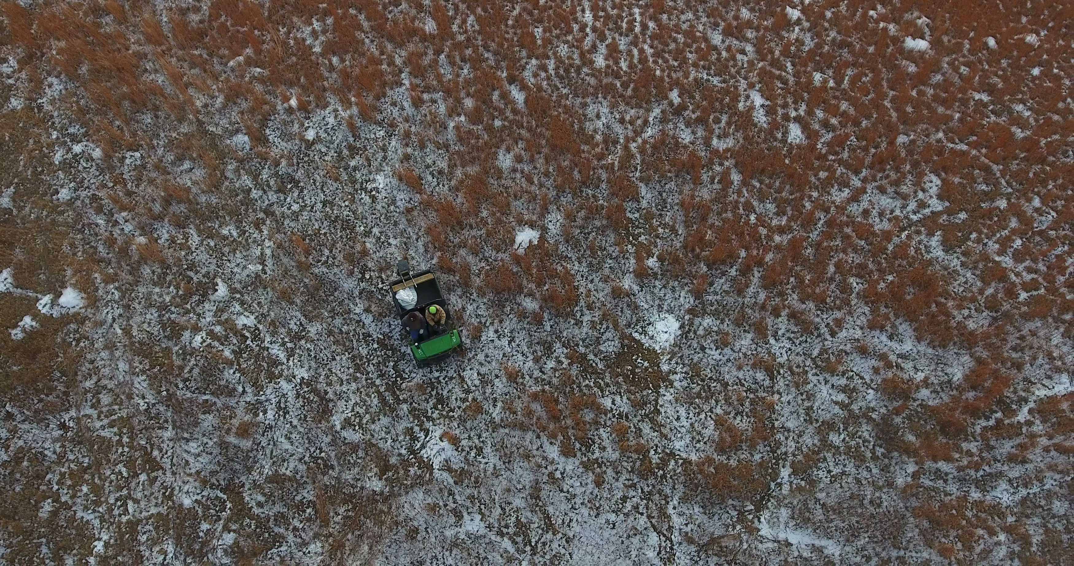 Aerial view of Forest Preserve staff distributing seeds.