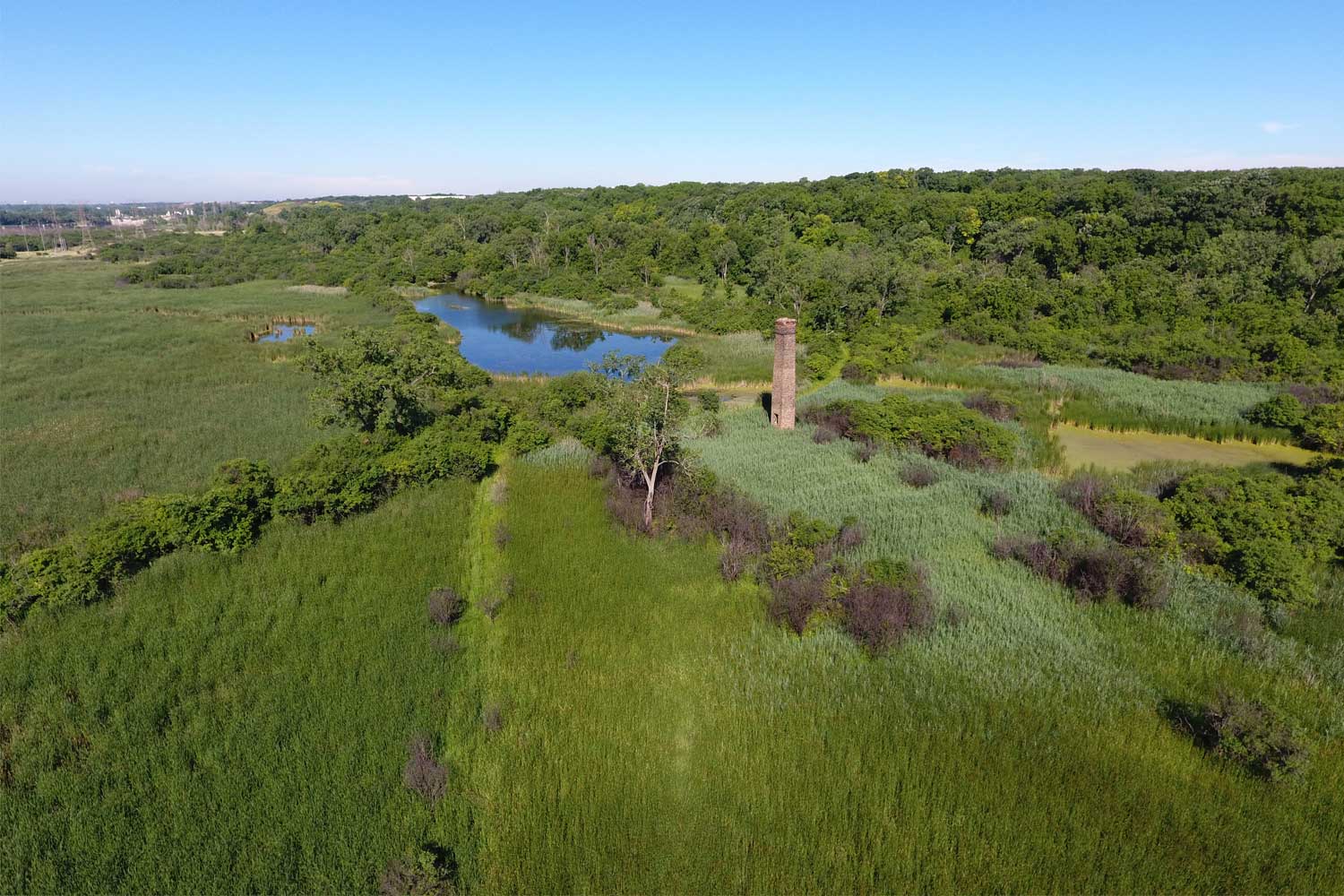 Overhead shot of preserve.