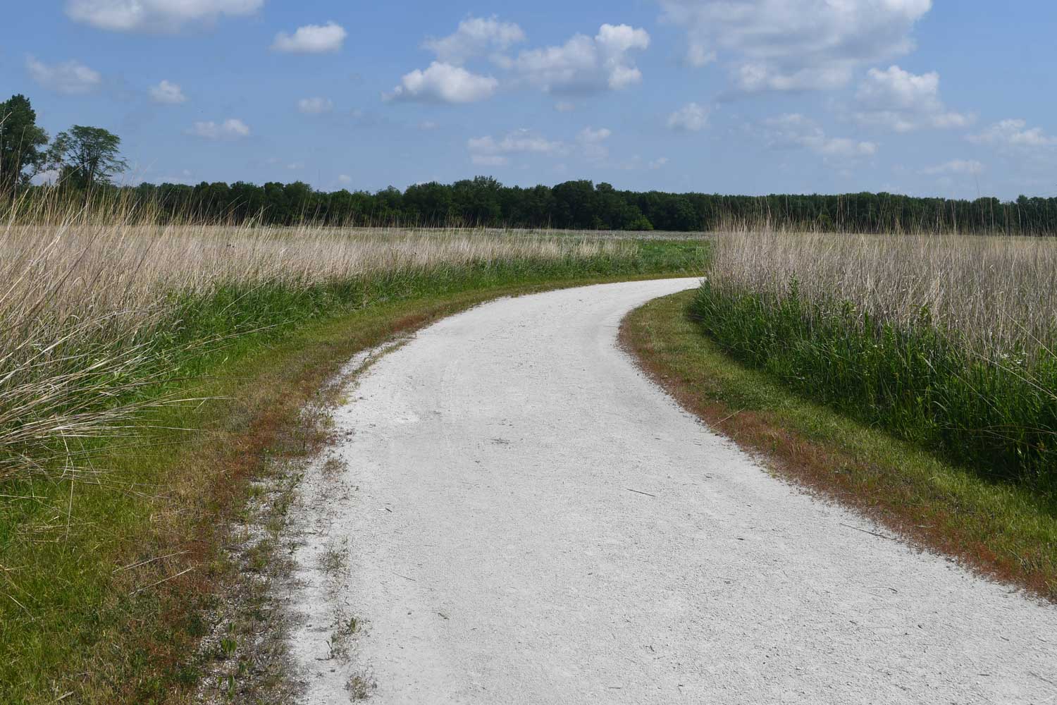 Limestone trail lined with grasses and vegetation.